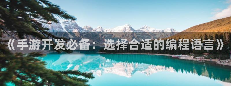 汇丰娱乐v5.6.0：《手游开发必备：选择合适的编程语言》