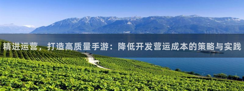 汇丰娱乐老版本：精进运营，打造高质量手游：降低开发营运成本的