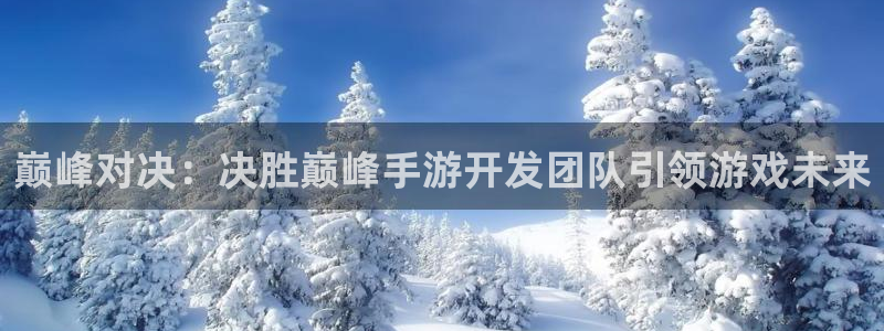 汇丰娱乐用不了了：巅峰对决：决胜巅峰手游开发团队引领游戏未来