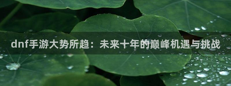 汇丰娱乐苹果下载：dnf手游大势所趋：未来十年的巅峰机遇与挑