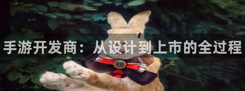 汇丰娱乐预测网最新版本更新内容:手游开发商:从设计到上市的全