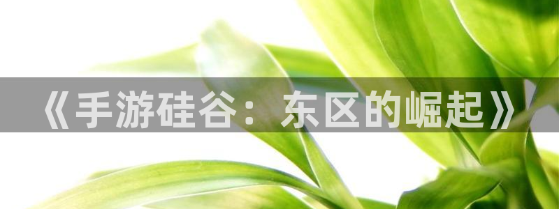 汇丰娱乐app下载页面：《手游硅谷：东区的崛起》