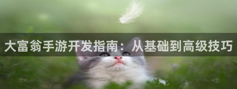汇丰娱乐免费预测：大富翁手游开发指南：从基础到高级技巧