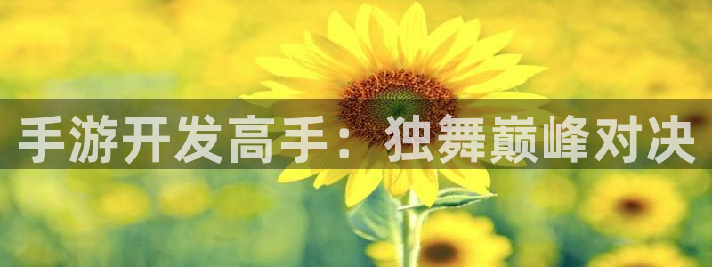 汇丰娱乐手机版：手游开发高手：独舞巅峰对决