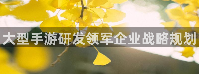 汇丰娱乐app：大型手游研发领军企业战略规划