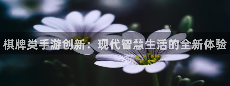 汇丰娱乐预测网：棋牌类手游创新：现代智慧生活的全新体验