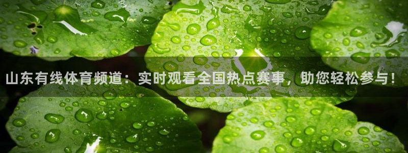 柠檬nba篮球免费直播：山东有线体育频道：实时观看全国热点赛事，助您轻松参与！