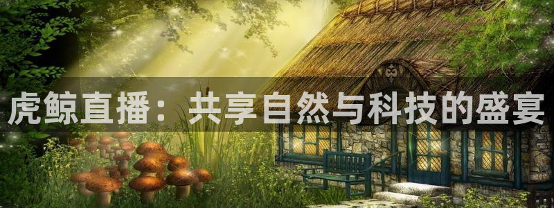 柠檬直播 篮球：虎鲸直播：共享自然与科技的盛宴