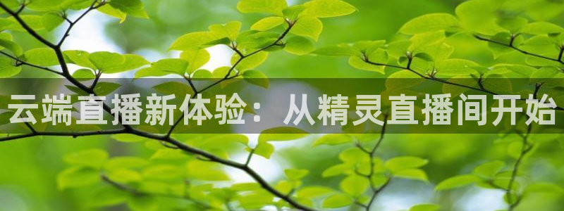 柠檬jrs直播：云端直播新体验：从精灵直播间开始